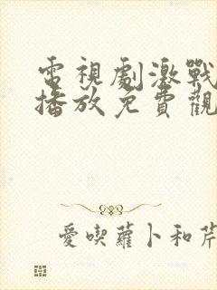 电视剧激战全集播放免费观看