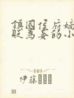 镇国侯府嫡女被贬为妾的小说