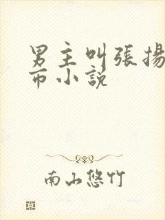 男主叫张扬的都市小说
