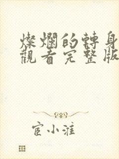 灿烂的转身免费观看完整版电视剧高清