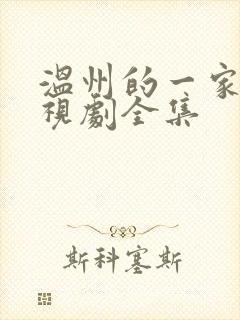 温州的一家人电视剧全集封面