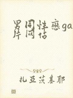 男同性恋gay片网站
