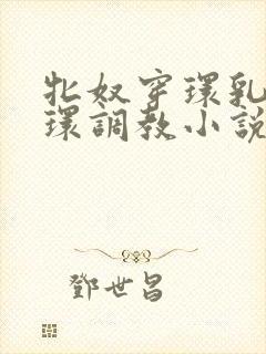 牝奴穿环乳环蒂环调教小说