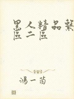 黑人精品系列一区二区