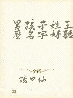 男孩子姓王取什么名字好听封面