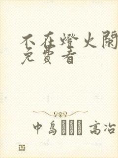 不在灯火阑珊处免费看