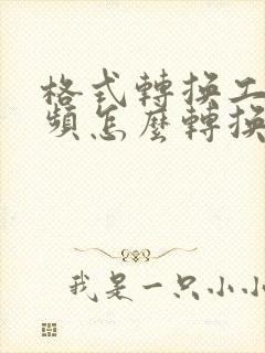 格式转换工厂音频怎么转换mp3