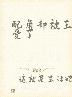 配角却被王子宠爱了封面