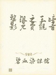 击狙之王暗杀电影免费观看封面