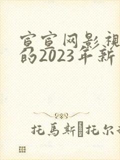宣宣网影视好看的2023年新电视剧