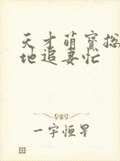 天才萌宝总裁爹地追妻忙