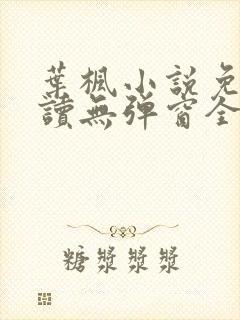 叶枫小说免费阅读无弹窗全文