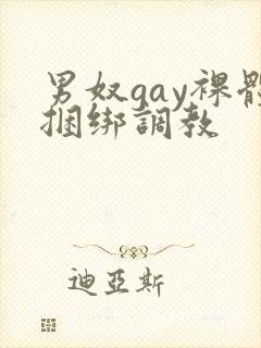 男奴gay裸体捆绑调教封面