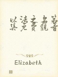 以法之名第36集免费观看高清