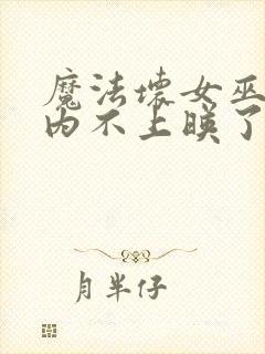 魔法坏女巫2国内不上映了吗