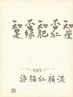 知否知否知否应是绿肥红瘦哪一年