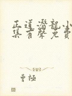 正道潜龙小说全集有声免费听