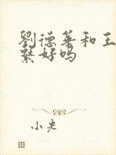 刘德华和王杰关系好吗