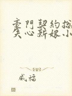 豪门契约总裁的失心新娘小说