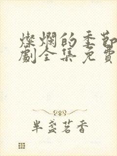 灿烂的季节电视剧全集免费