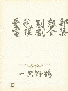 爱我别想那么多电视剧全集