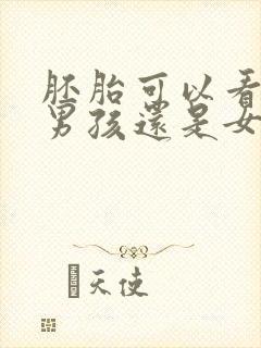 胚胎可以看出是男孩还是女孩吗