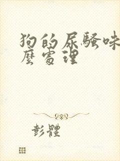 狗的尿骚味大怎么处理