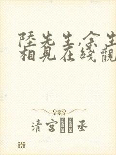 陆先生,余生不相见在线观看