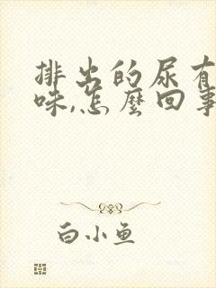 排出的尿有腥臭味,怎么回事?