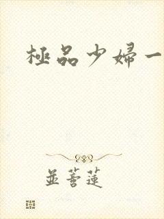 极品少妇一区封面