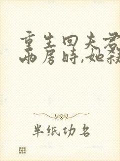 重生回夫君兼祧两房时,她杀疯了