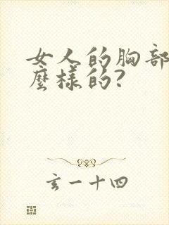 女人的胸部是什么样的?