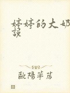 婷婷的大奶子小说封面