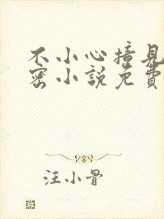 不小心撞见的秘密小说免费阅读