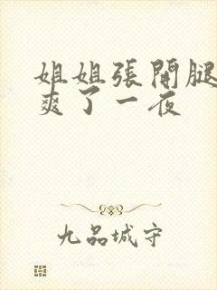 姐姐张开腿让我爽了一夜