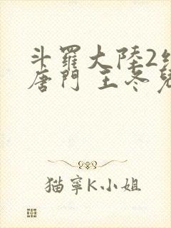 斗罗大陆2绝世唐门 王冬儿