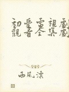 初爱电视剧免费观看全集剧情