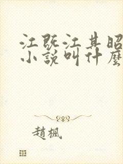 江既江其昭季织小说叫什么名字