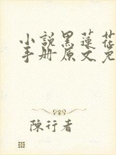 小说黑莲花攻略手册原文免费阅读封面