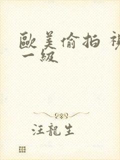 欧美偷拍 视频一级