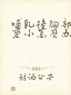 哺乳后胸部下垂变小怎么办