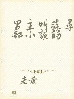 男主叫苏寻是哪部小说的