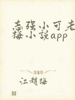 志强小可老爸阿梅小说app封面