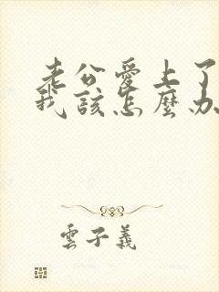 老公爱上了小三我该怎么办