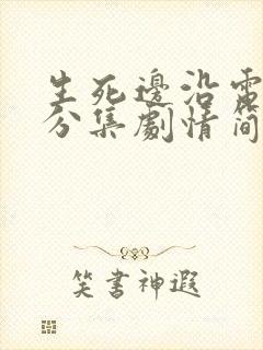 生死边沿电视剧分集剧情简介