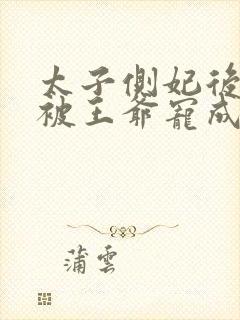 太子侧妃后,我被王爷宠成宝最新章节