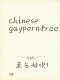 chinesegaypornfree