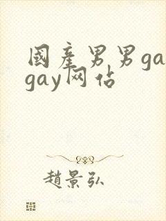 国产男男gaygay网站
