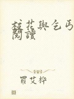 校花与乞丐小说阅读