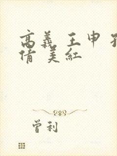 高义 王申 孙倩 美红封面